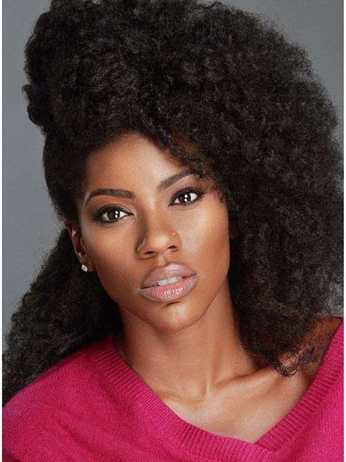 Natural Black Hairstyle
 15 Hairstyles for Black Women with Natural Hair