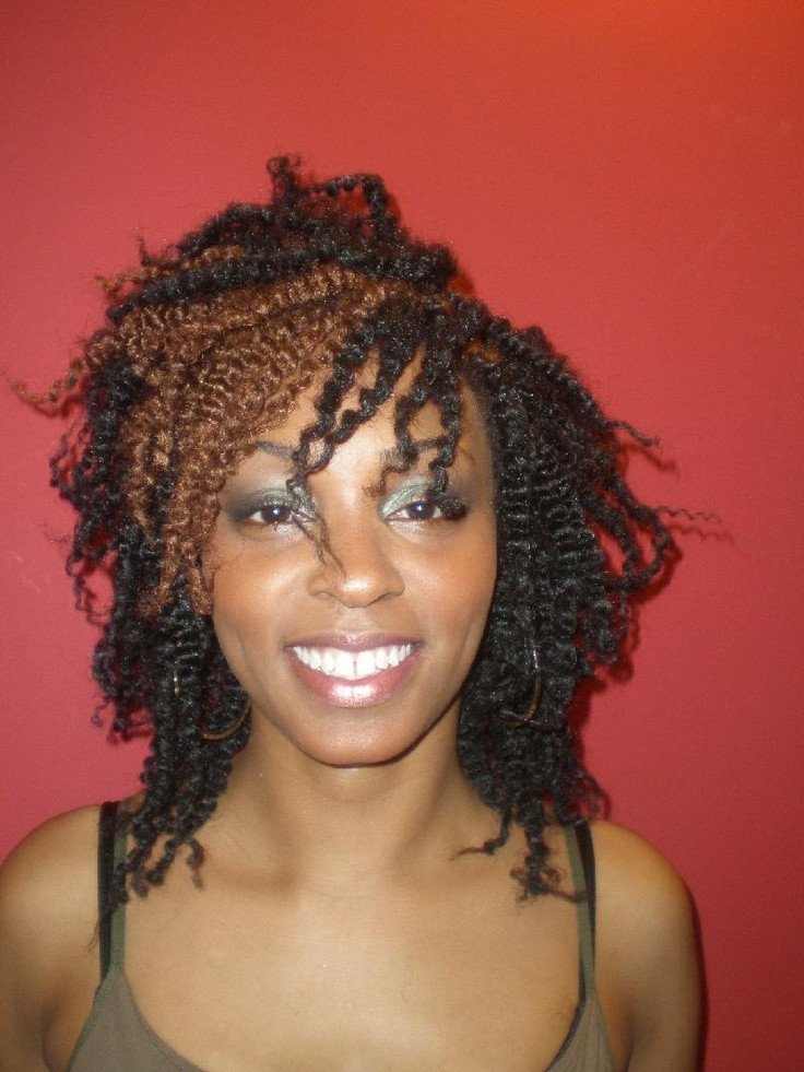 Natural Hairstyles Braids And Twists
 388 best Natural Hair & Braid Styles images on Pinterest