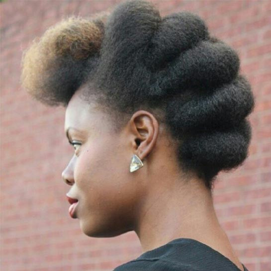 Natural Hairstyles Pictures
 Easy Natural Hairstyles For Transitioning Hair