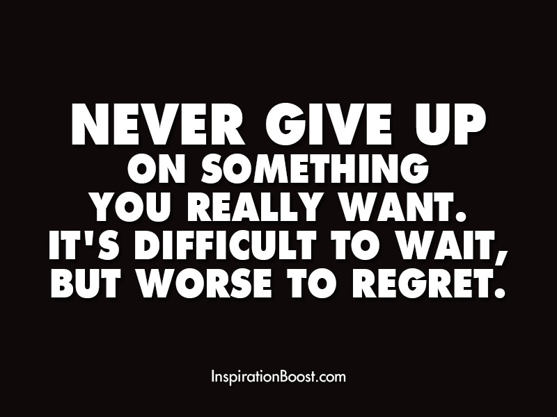 Never Give Up In Life Quotes
 motivational quotes