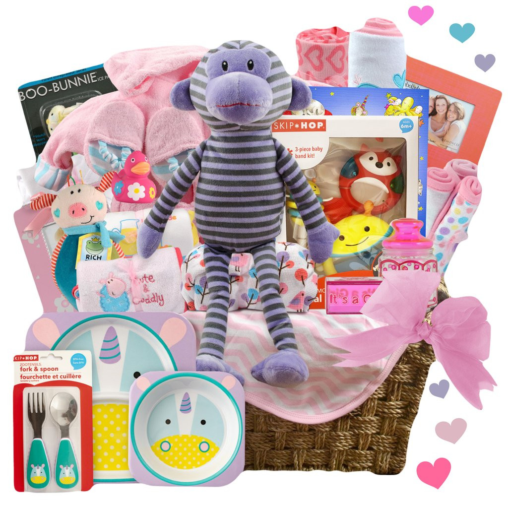 New Baby Gift Delivery
 Newborn Baby Girl Fabulous Family Basket Stork Baby