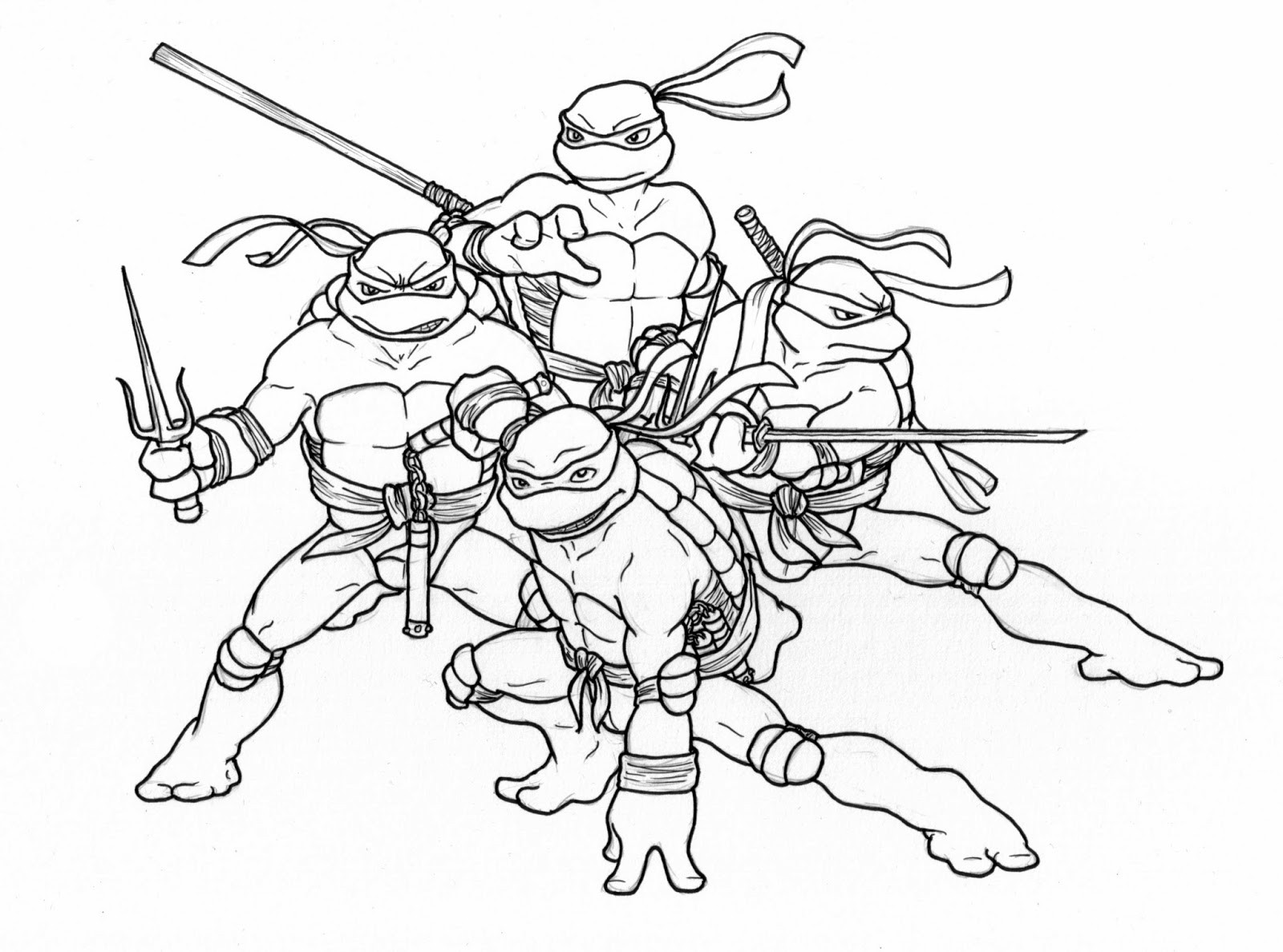 Ninja Turtle Printable Coloring Pages
 Sara Dunkerton Illustration and Animation Teenage Mutant
