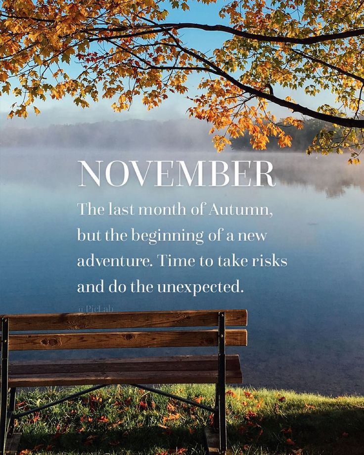 November Inspirational Quotes
 The 25 best November quotes ideas on Pinterest