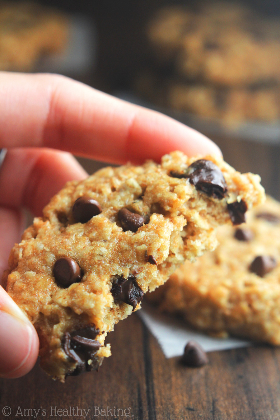Oatmeal Chocolate Chip Cookies Healthy
 Chocolate Chip Peanut Butter Oatmeal Cookies Recipe Video
