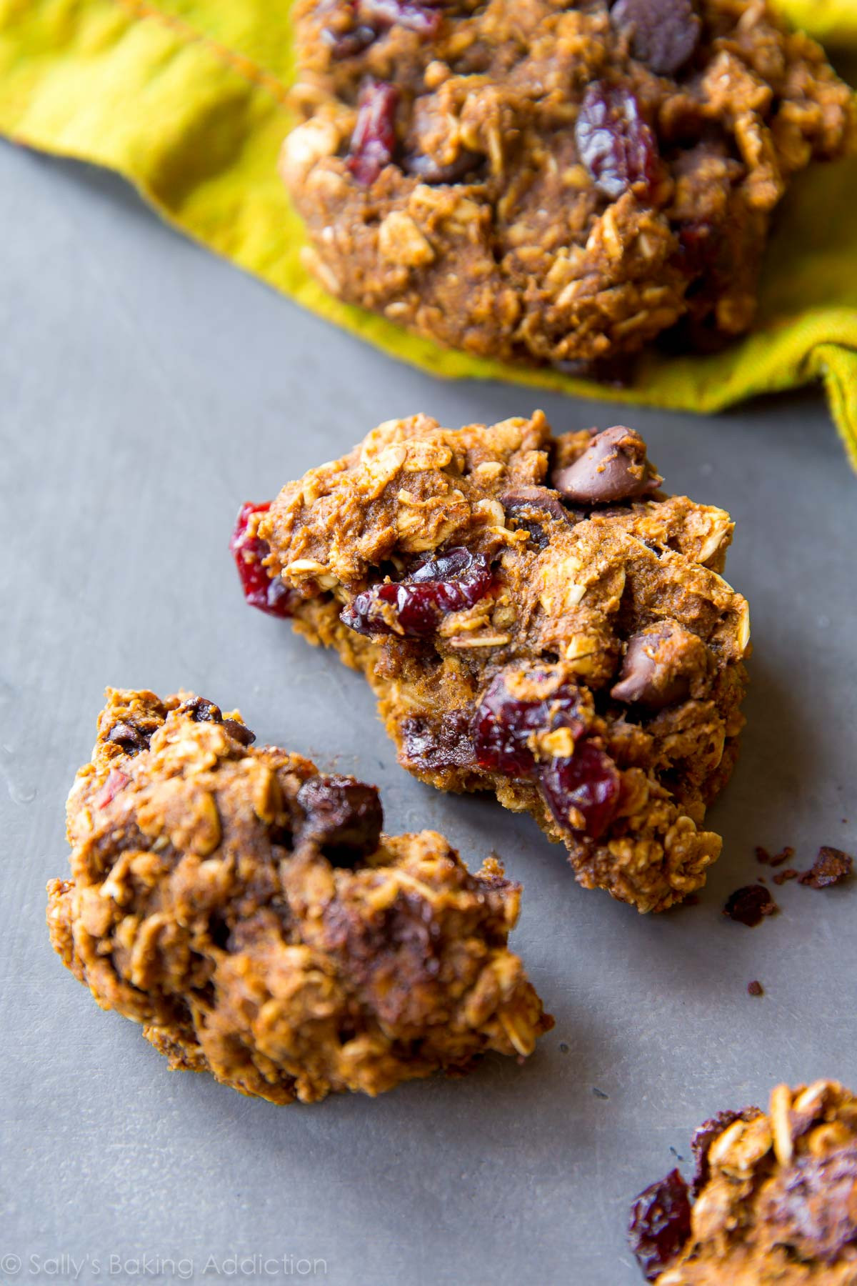 Oatmeal Chocolate Chip Cookies Healthy
 Healthy Pumpkin Chocolate Chip Oatmeal Cookies