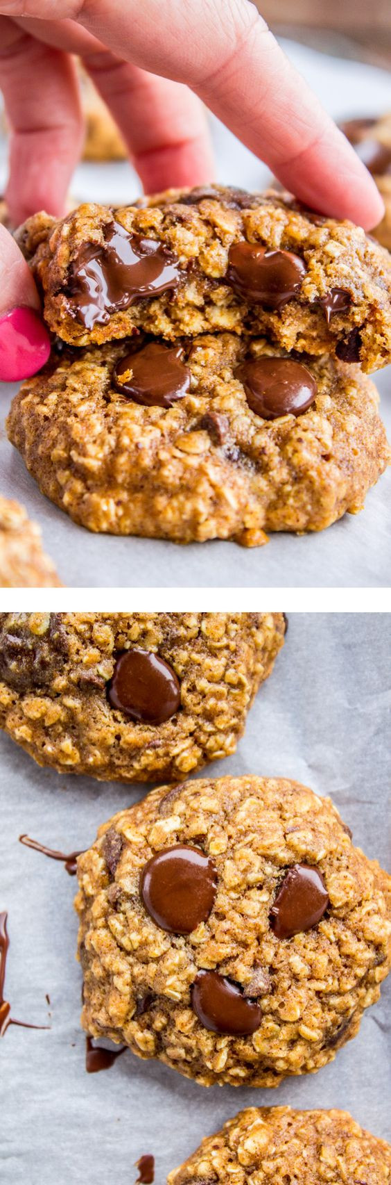 Oatmeal Chocolate Chip Cookies Healthy
 This recipe for healthy oatmeal chocolate chip cookies