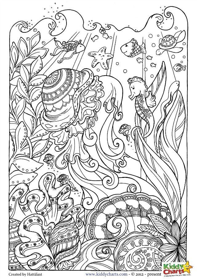 Ocean Coloring Pages For Adults
 Ocean coloring pages for kids and adults