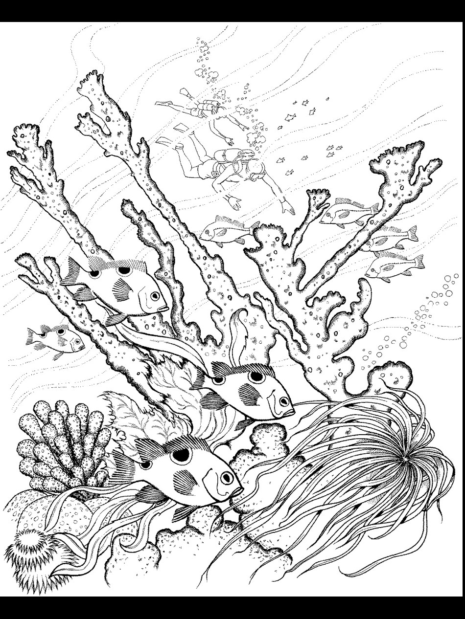 Ocean Coloring Pages For Adults
 Ocean Coloring Pages PrimaryGames