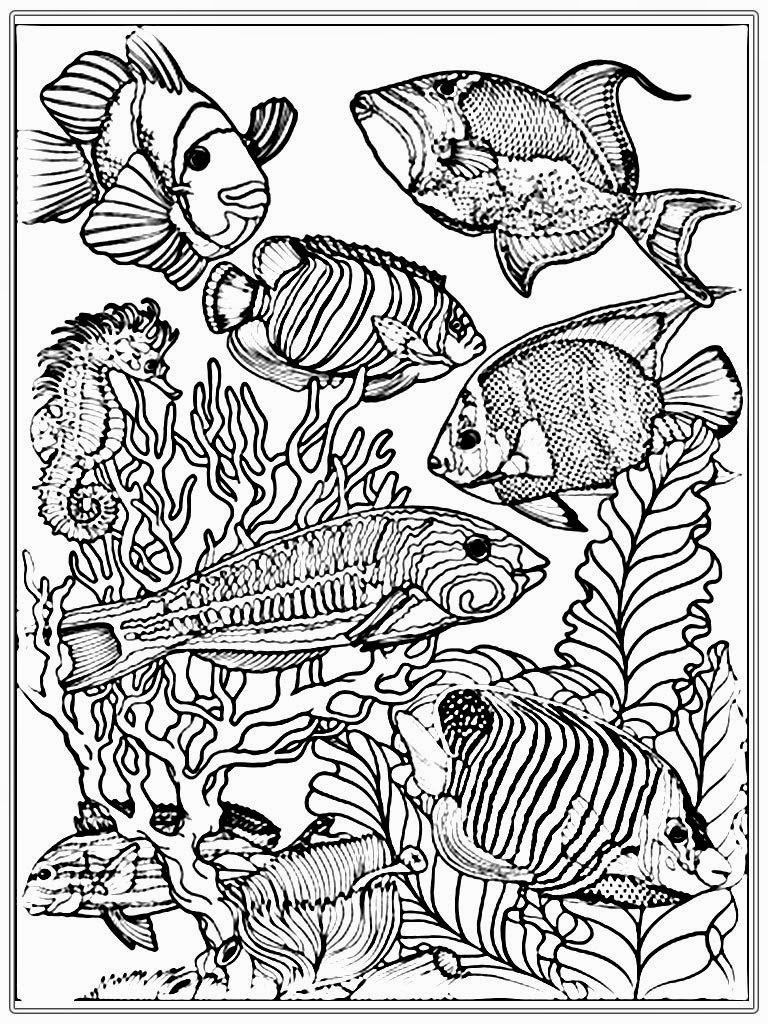 Ocean Coloring Pages For Adults
 Adult Free Fish Coloring Pages