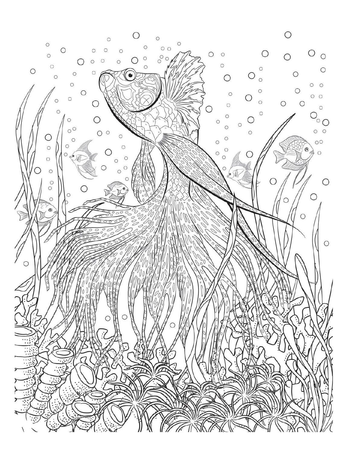 Ocean Coloring Pages For Adults
 Oceana sheets music & coloring