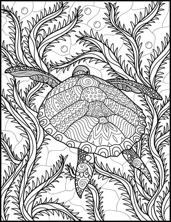 Ocean Coloring Pages For Adults
 2 Adult Coloring Pages Animal Coloring Page Printable