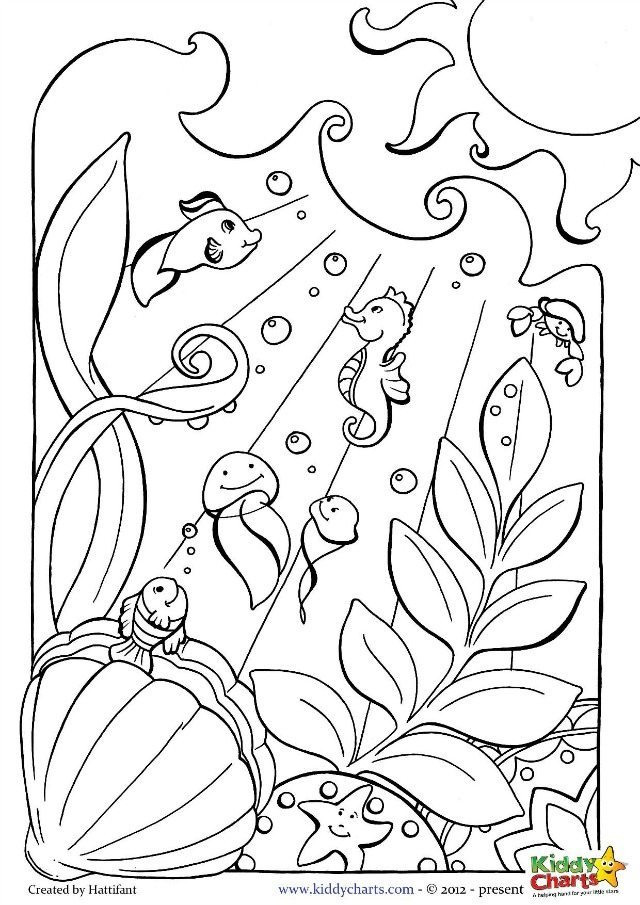 Ocean Coloring Pages For Adults
 Ocean coloring pages for kids and adults