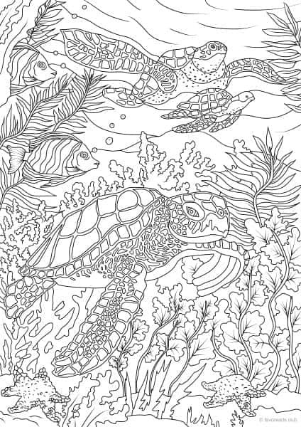 Ocean Coloring Pages For Adults
 Ocean Life Turtles Printable Adult Coloring Pages from