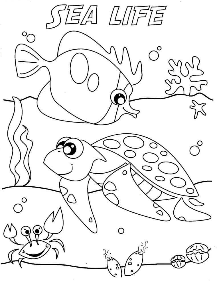 Ocean Coloring Pages For Kids
 Free Printable Ocean Coloring Pages Under The Sea