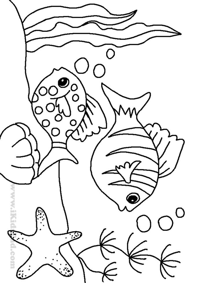 Ocean Coloring Pages For Kids
 The cartoon sea animals coloring pages are so fun for kids