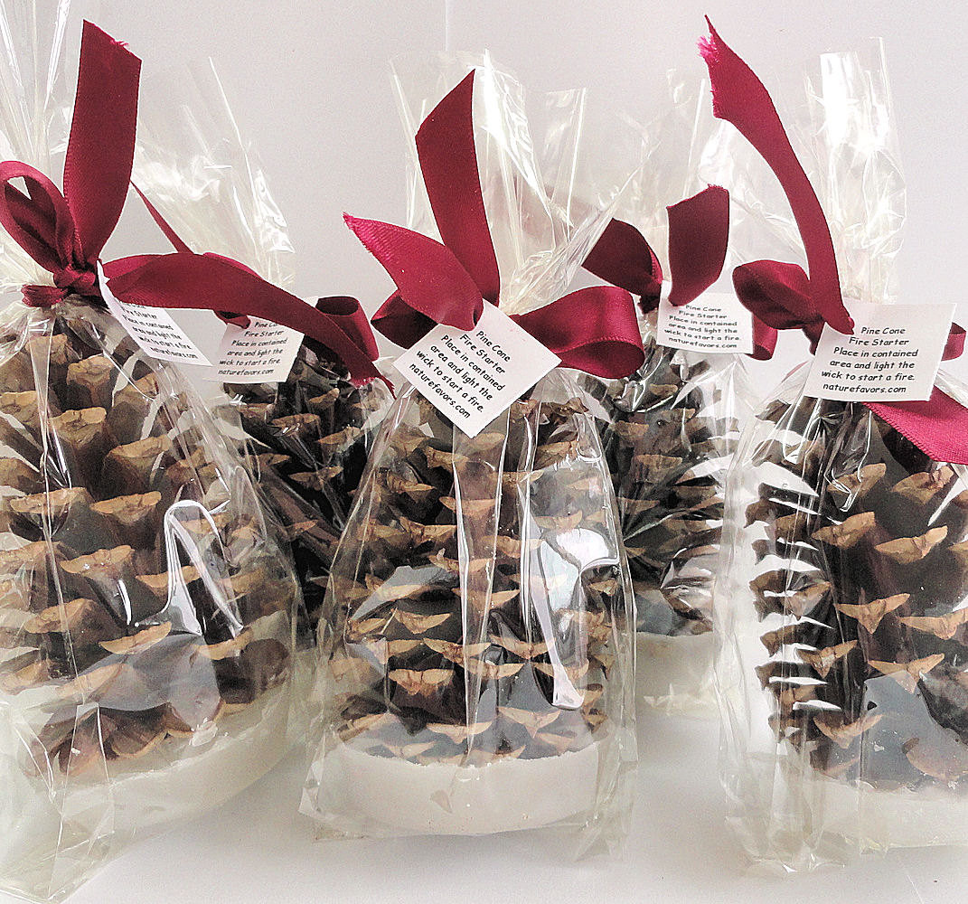 Office Holiday Party Gift Ideas
 25 Pine Cone Fire Starter Christmas Party Favors Holiday