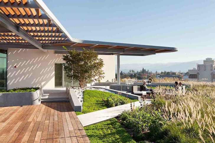 Office Terrace Landscape
 Lush Green Roof Terrace Crowns LEED Platinum Seeking