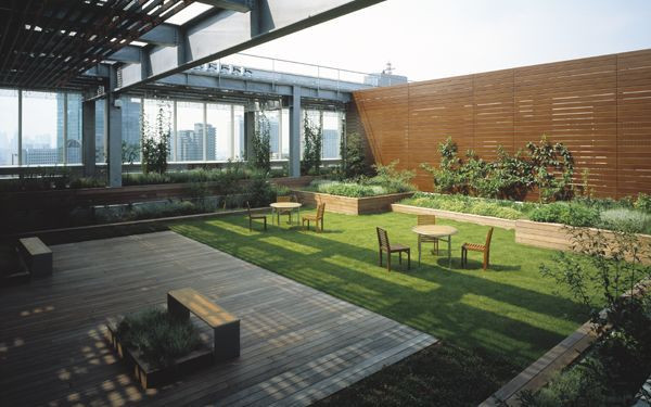 Office Terrace Landscape
 Image result for office rooftop terrace