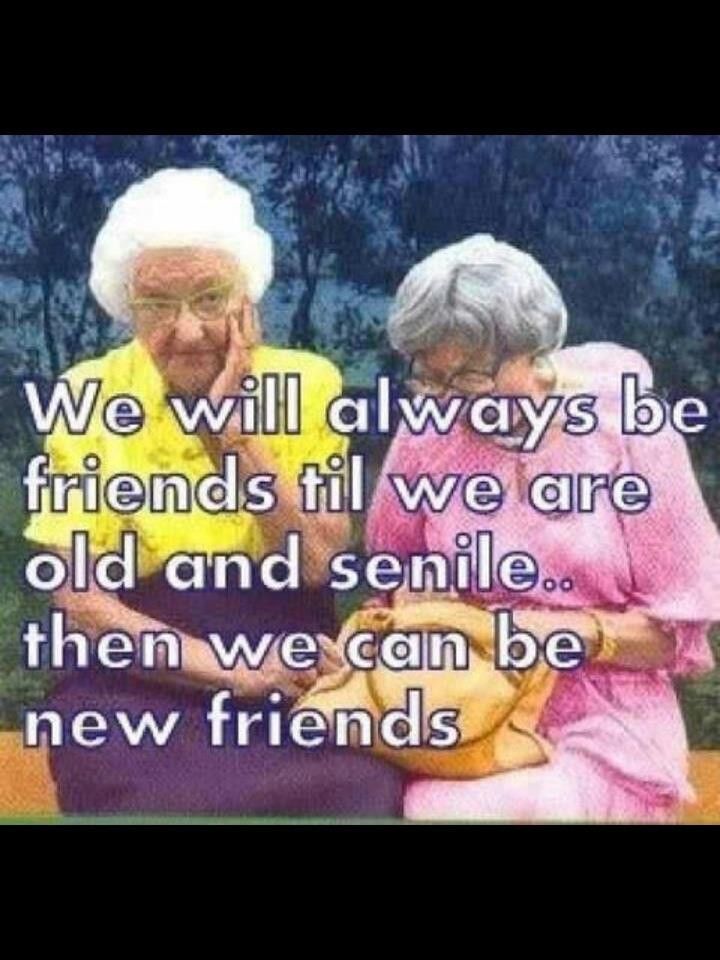 Old Friendship Quotes
 Old Friend Quotes And Sayings QuotesGram