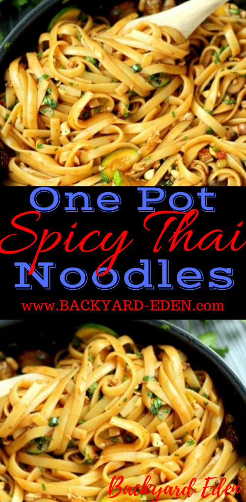 One Pot Spicy Thai Noodles
 e Pot Spicy Thai Noodles Backyard Eden