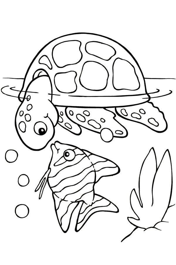 Online Coloring Kids
 Free Printable Turtle Coloring Pages For Kids Picture 4