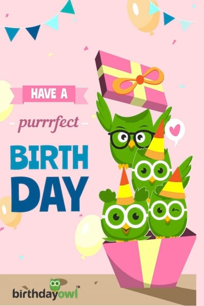 Online Free Birthday Cards
 FREE Birthday Greeting Cards BIrthdayowl