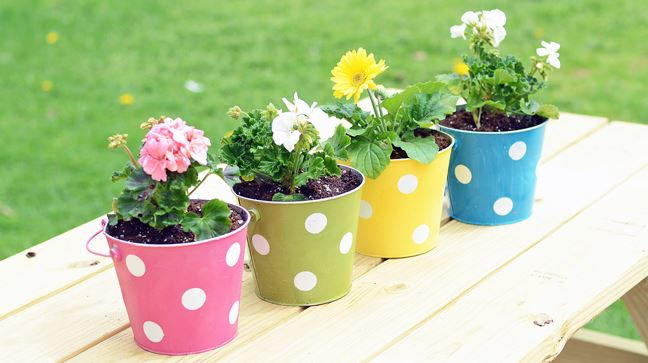Outdoor Crafts For Adults
 Polka Dot DIY Planters