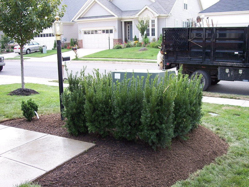 Outdoor Electrical Box Covers Landscaping
 How To Hide Utility Boxes In Your Yard