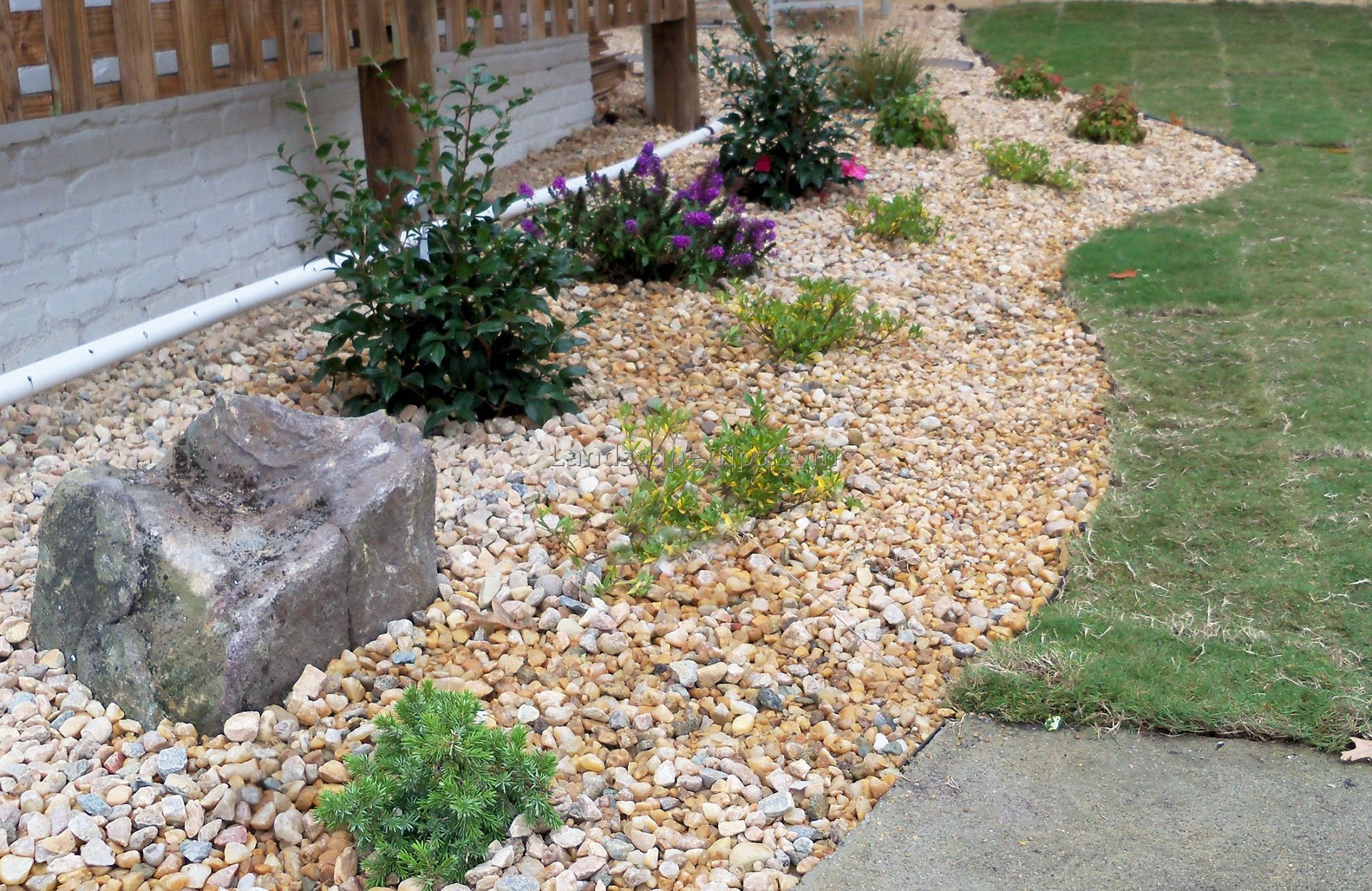 Outdoor Landscape With Stones
 Ideas Enticing Cheap Lowes Stepping Stones For Outdoor