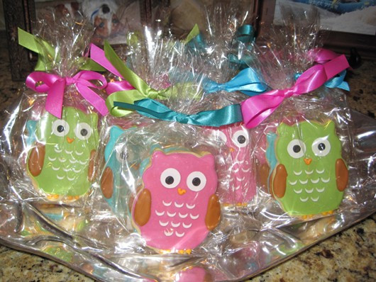 Owl Baby Shower Decor
 Owl Baby Shower Decorations