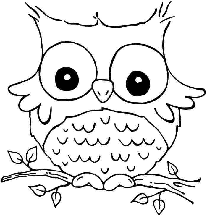 Owl Coloring Pages For Girls
 Owl Coloring Sheets Printable AZ Coloring Pages