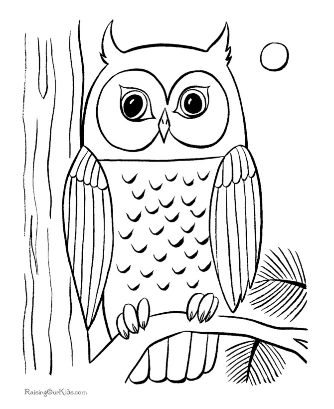 Owl Coloring Pages For Kids
 Owl Printable Coloring Pages