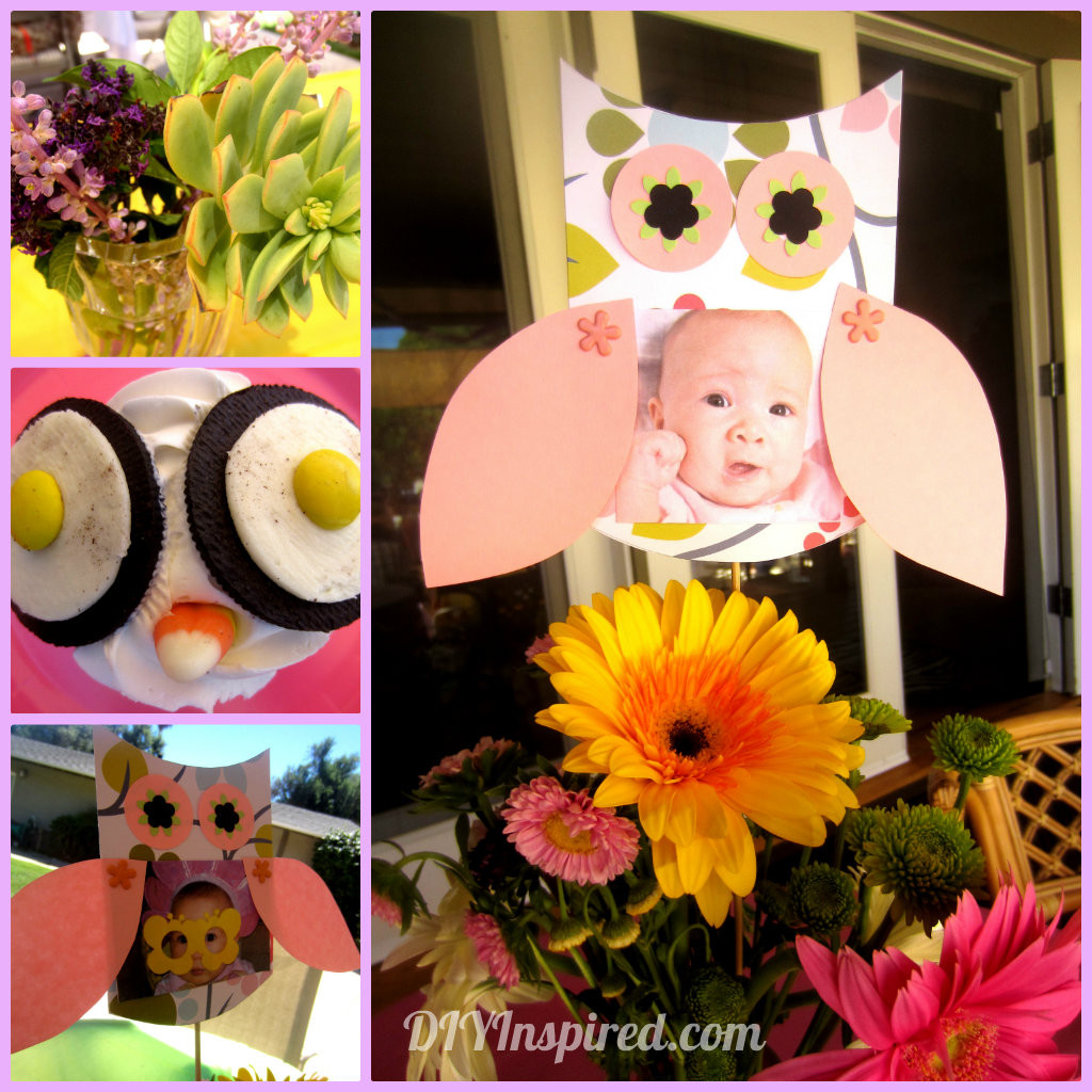 Owl Themed Birthday Party Ideas
 Owl Themed First Birthday DIY Inspired