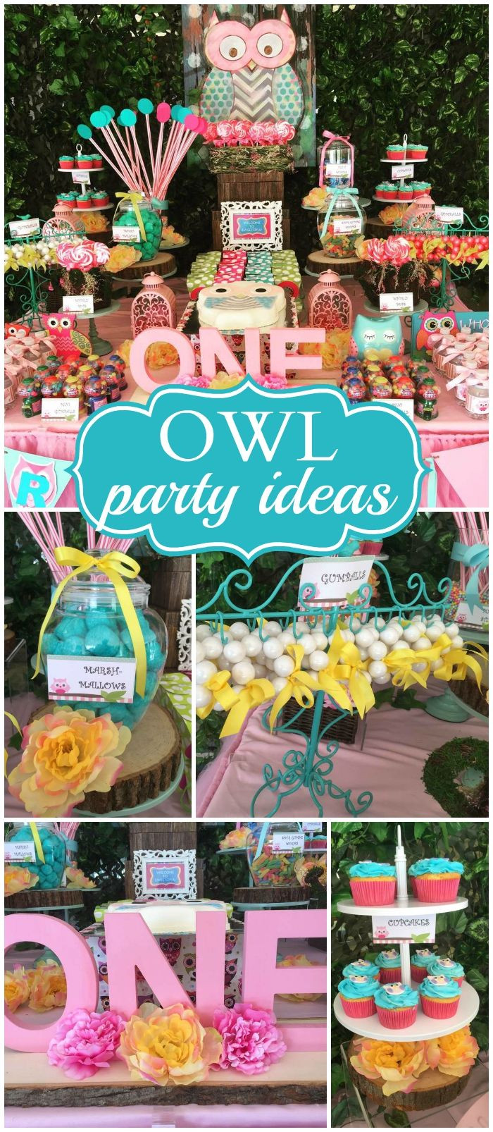 Owl Themed Birthday Party Ideas
 Owls Birthday "Look Whoo s Turning e"