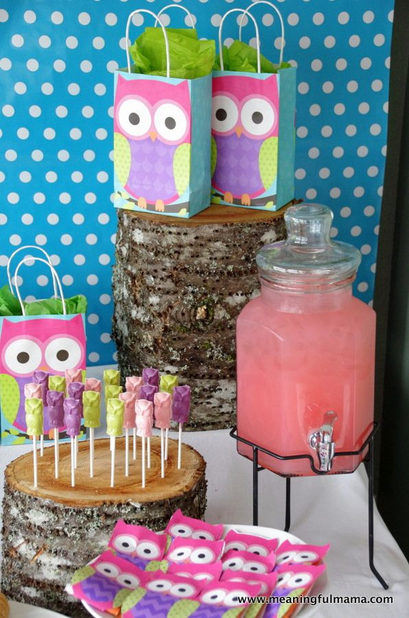 Owl Themed Birthday Party Ideas
 Owl Party Ideas Night owl sleepover
