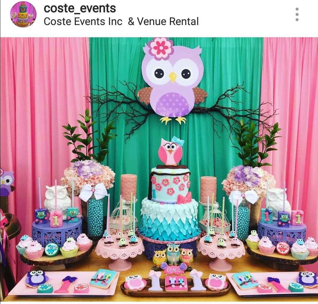 Owl Themed Birthday Party Ideas
 Owl Theme Birthday Party Dessert Table and Decor