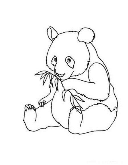 Panda Coloring Pages For Kids
 Cute Baby Panda Coloring Pages for Kids Disney Coloring