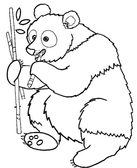 Panda Coloring Pages For Kids
 Cute Panda Bear Coloring Pages for Kids Disney Coloring