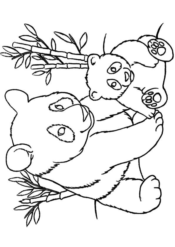 Panda Coloring Pages Printable
 Best 25 Panda coloring pages ideas on Pinterest