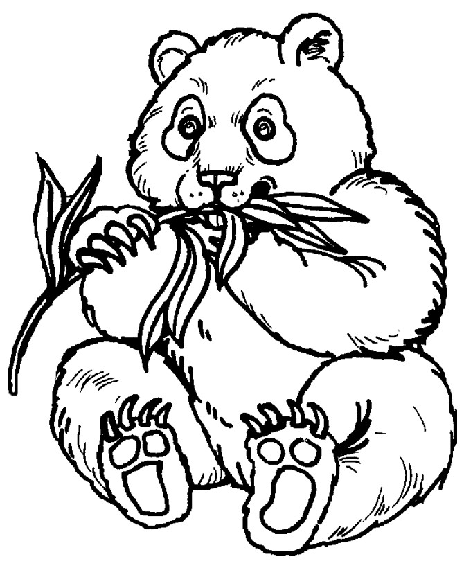 Panda Coloring Pages Printable
 Panda Coloring Pages Best Coloring Pages For Kids