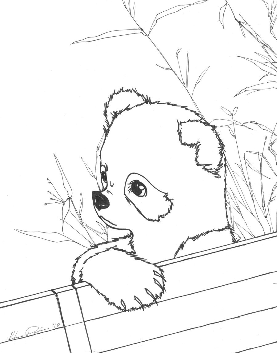 Panda Coloring Pages Printable
 Free Printable Panda Coloring Pages For Kids