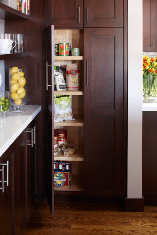 Pantry For Small Kitchen
 The Pros And Cons Walk In Vs Cabinet Pantries