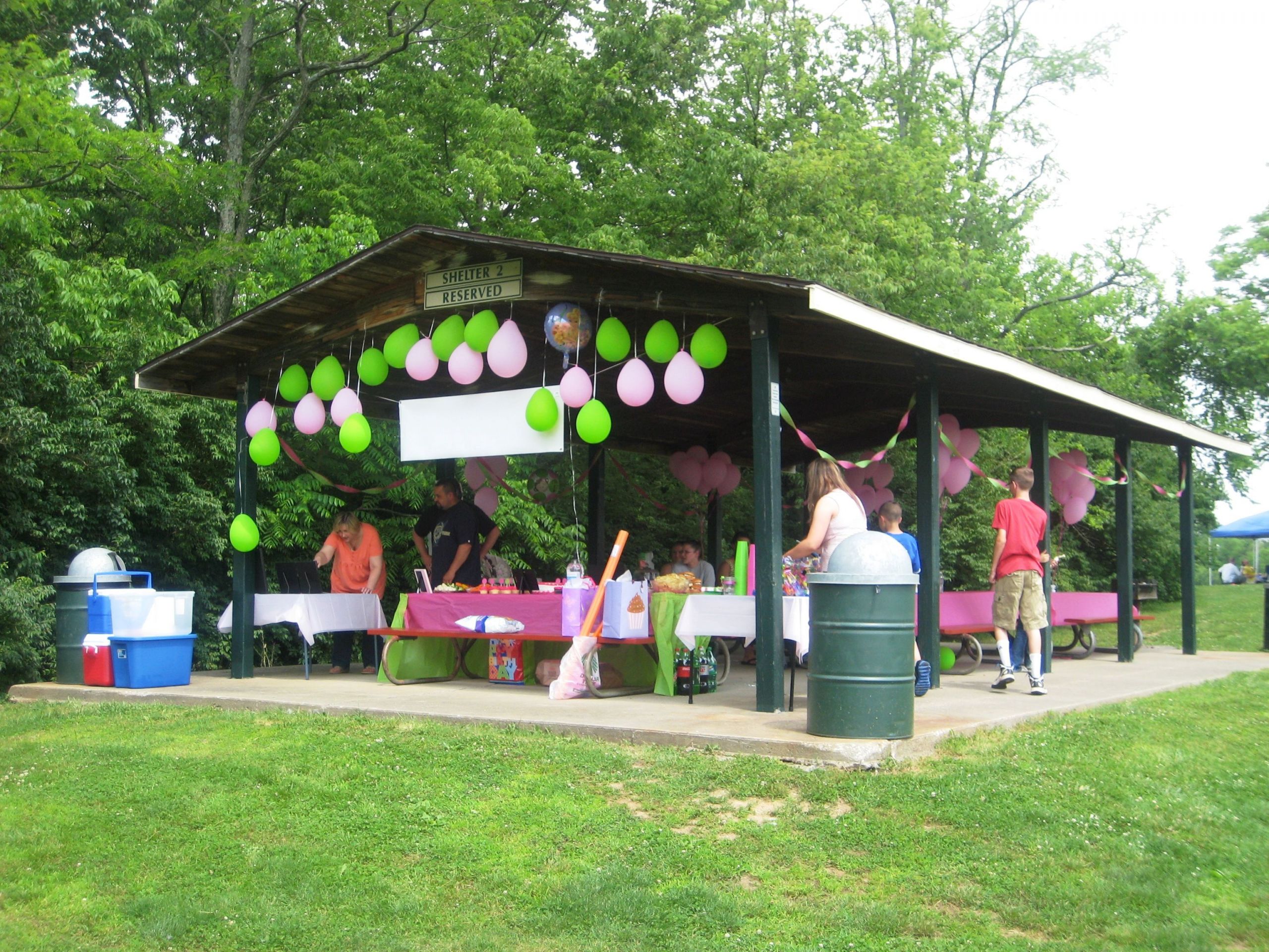 Park Birthday Party
 Rent a shelter at your local park for your childs birthday