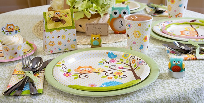 Party City Baby Shower Stuff
 Owl Baby Shower Party Supplies Party City