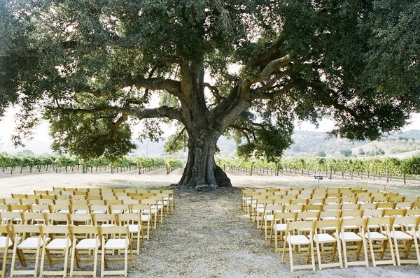 Paso Robles Wedding Venues
 Vintage Ranch Paso Robles CA Wedding Venue