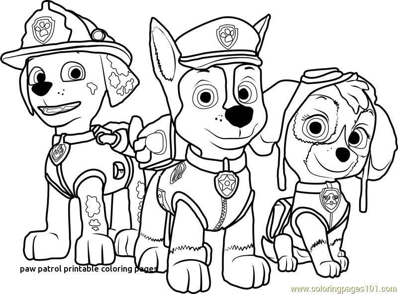 Paw Patrol Coloring Pages For Toddlers
 Free Printable Coloring Pages Paw Patrol at GetDrawings