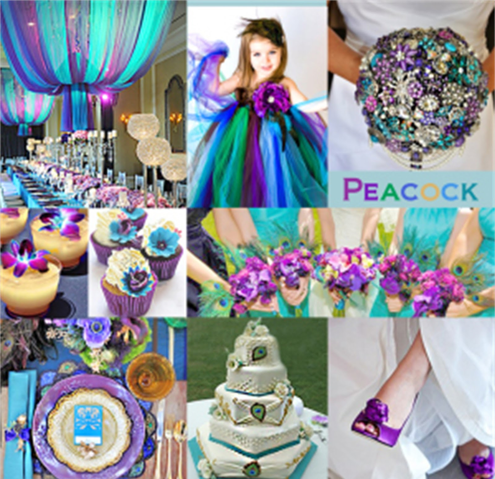 Peacock Themed Weddings
 Angee s Eventions Peacock Themed Wedding