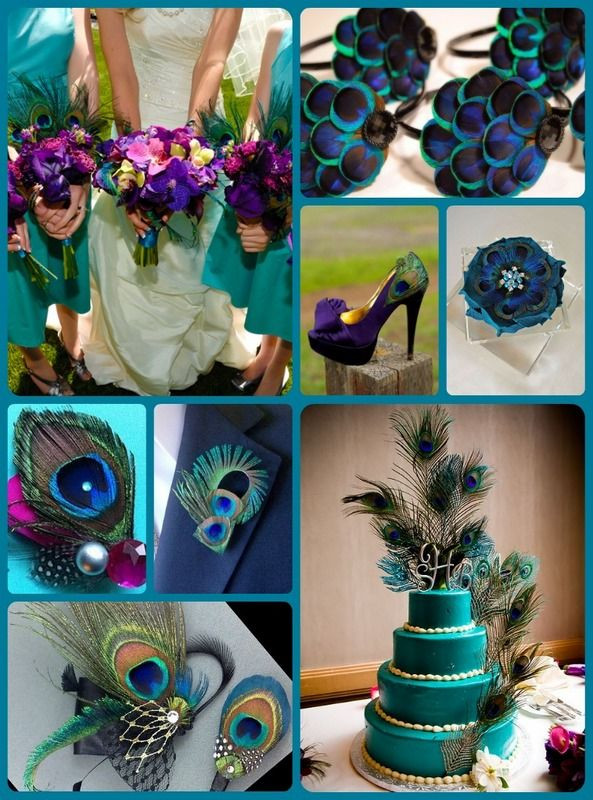 Peacock Wedding Colors
 Peacock color scheme really only pinned this for the