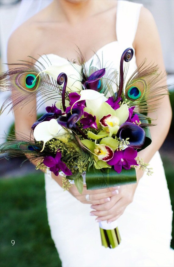 Peacock Wedding Themes
 Peacock Wedding Ideas Wedding Themes