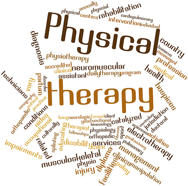 Physical Therapy Quotes Motivational
 Physical Therapy Misconceptions Versus The Truth